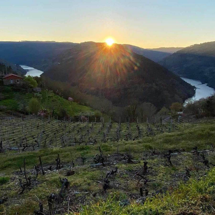 Casa Das Xacias Ribeira Sacra A Airoa  Екстериор снимка
