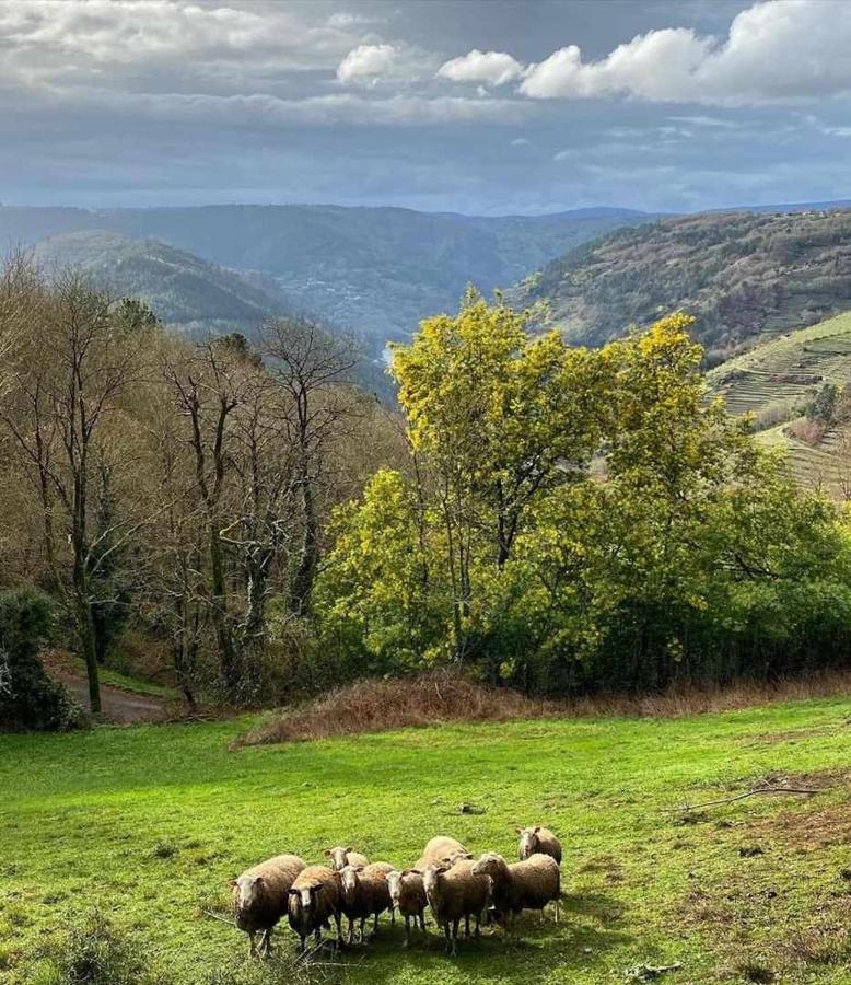 Casa Das Xacias Ribeira Sacra A Airoa  Екстериор снимка