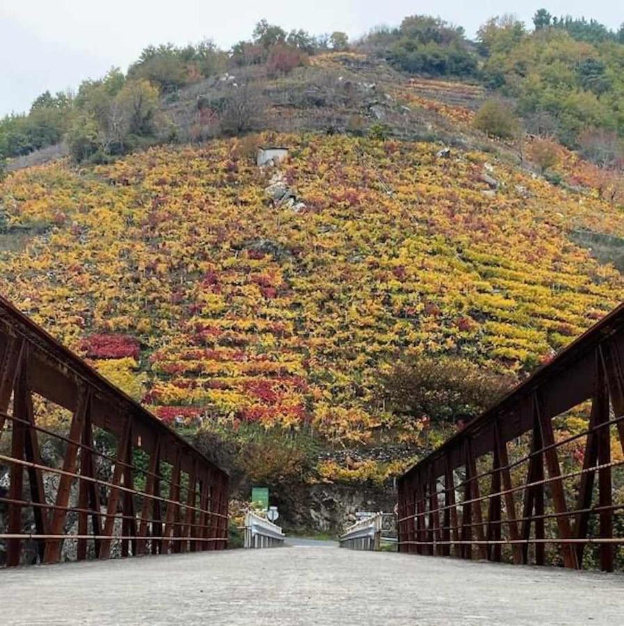 Casa Das Xacias Ribeira Sacra A Airoa  Екстериор снимка